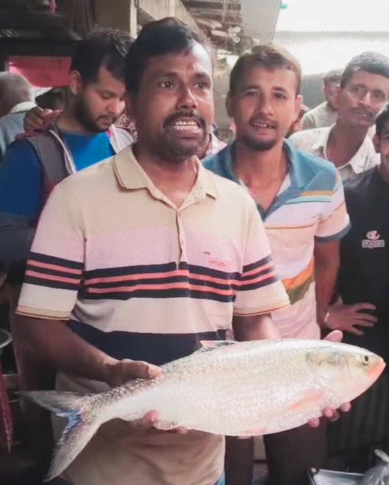 বানারীপাড়ায় দুই কেজি ৬০০ গ্রাম সাইজের ইলিশ ১৪ হাজার তিনশত টাকায় বিক্রি !