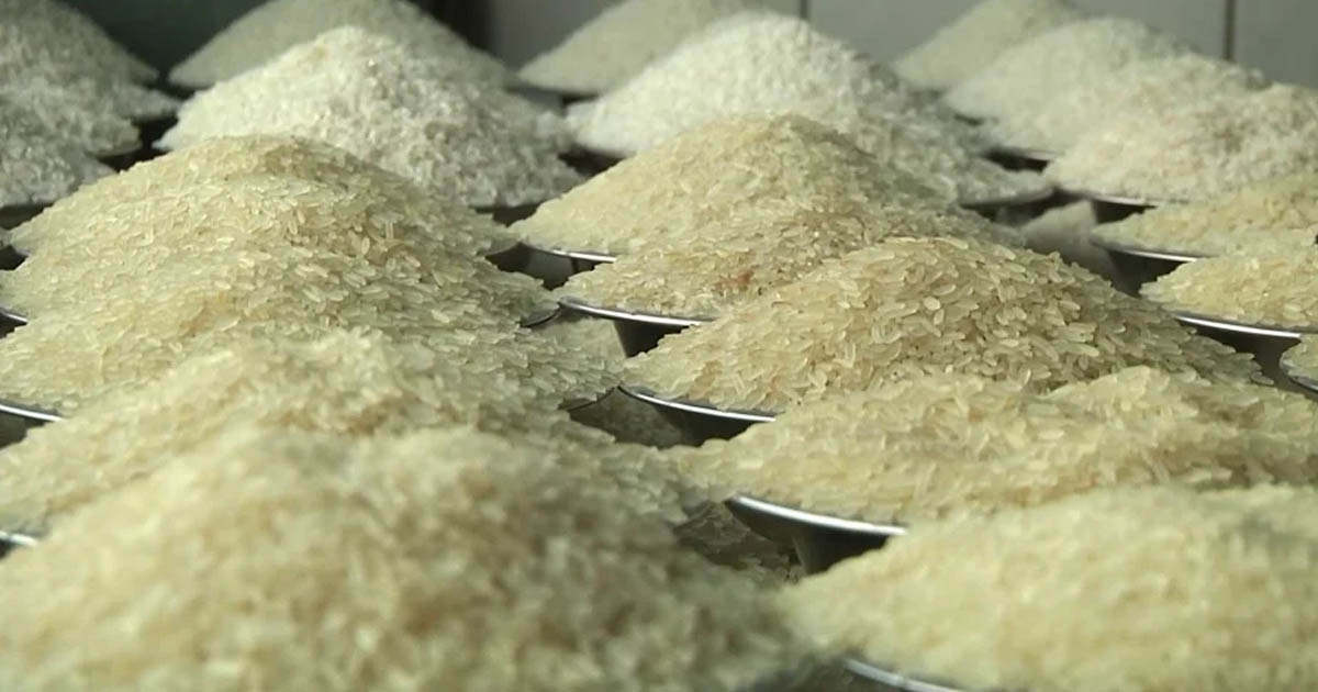 বাজারে নতুন চাল এলেও দাম কমার বদলে ৫ টাকা কেজিতে বাড়ল