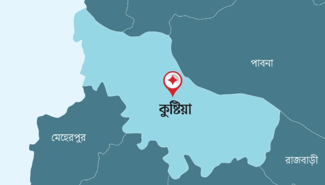 ছেলেকে টিকা দিতে নেওয়ার সময় ভ্যান থেকে পড়ে নারীর মৃত্যু